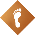 Image module