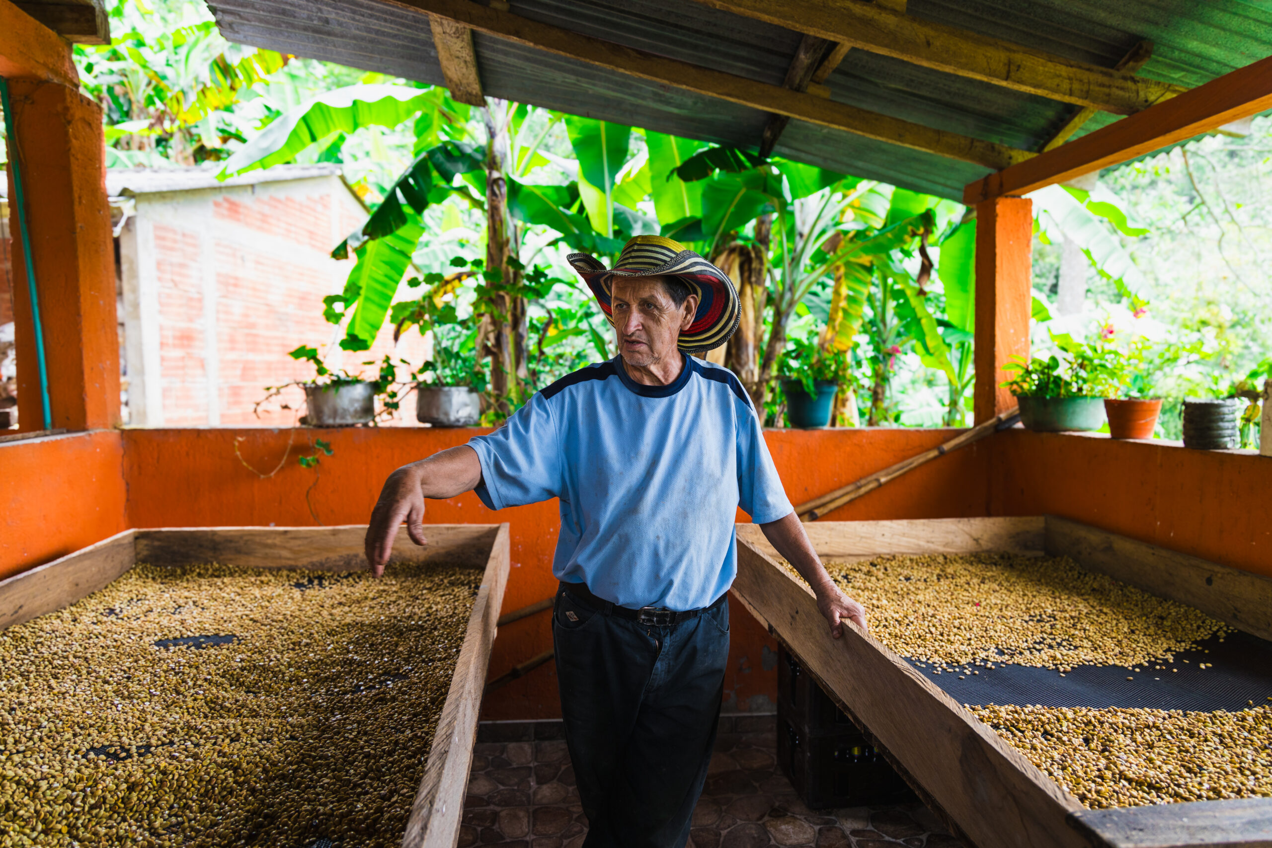 Colombia Farmer with his producer on drying beds